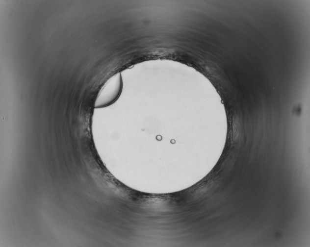 X0000114200236200911201007