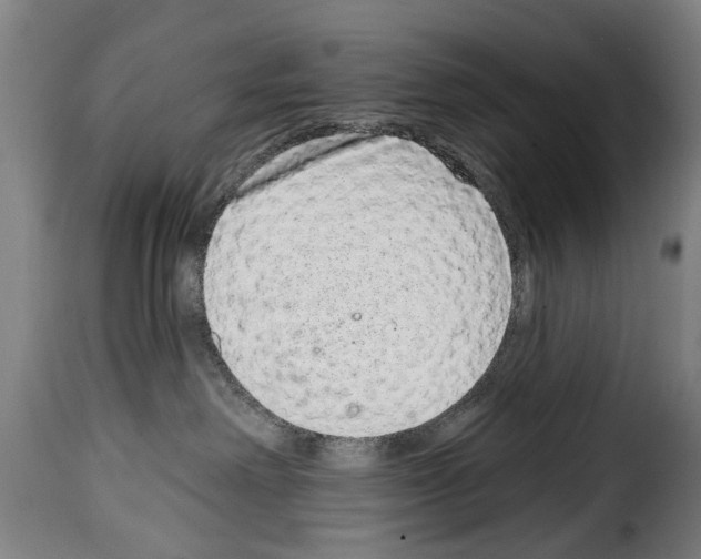 X0000114200238200911201007