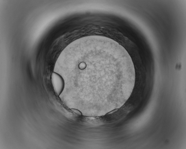 X0000114200239200911201007