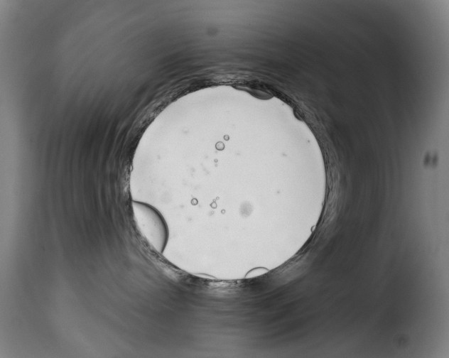 X0000114200240200911201007