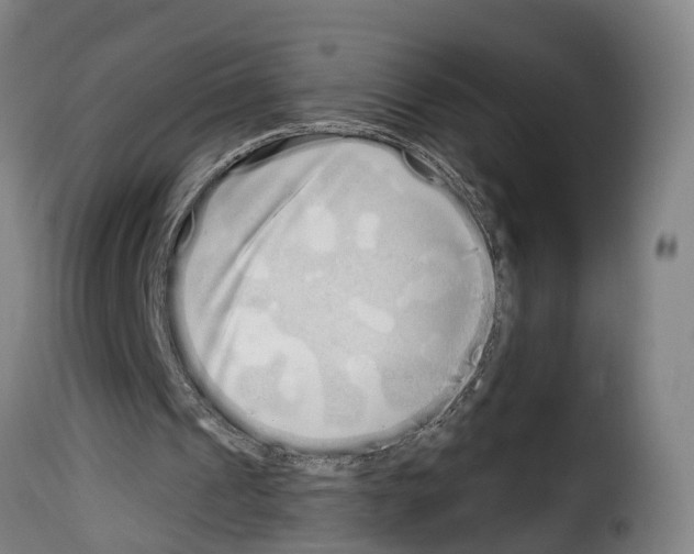 X0000114200241200911201006