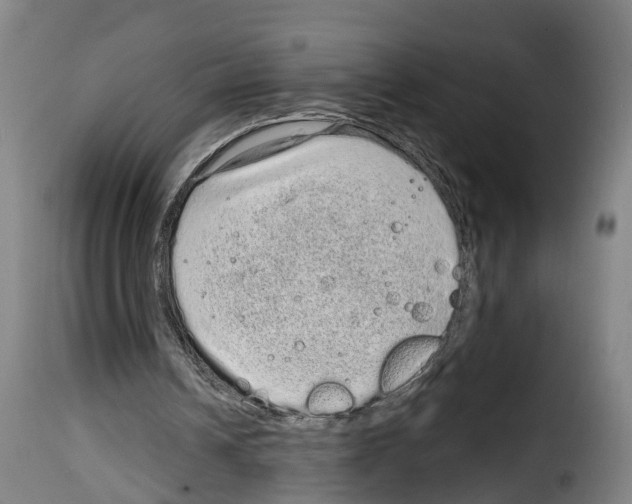 X0000114200242200911201006