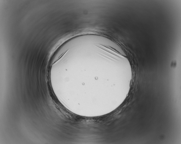 X0000114200244200911201006