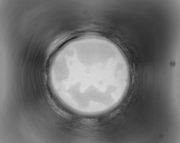 X0000114200245200911201006