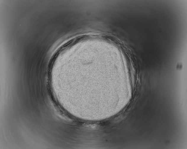 X0000114200247200911201007