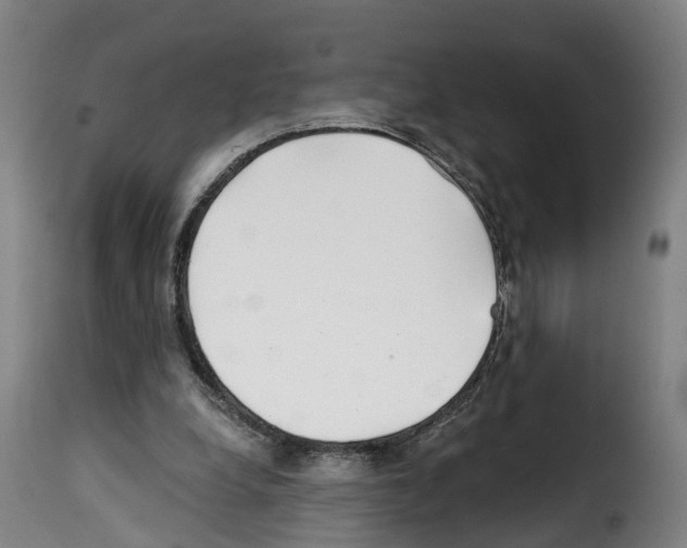 X0000114200248200911201007