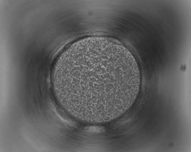 X0000114200251200911201007