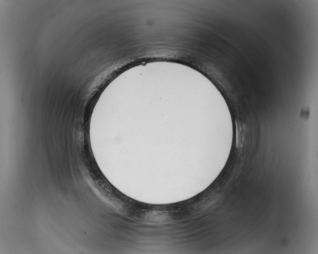 X0000114200252200911201007