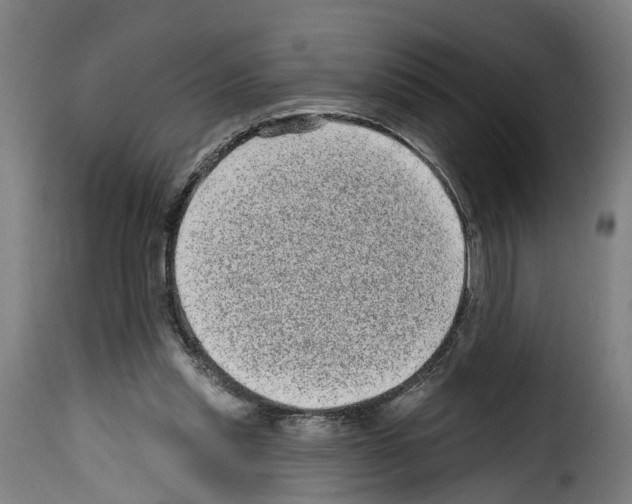 X0000114200253200911201007