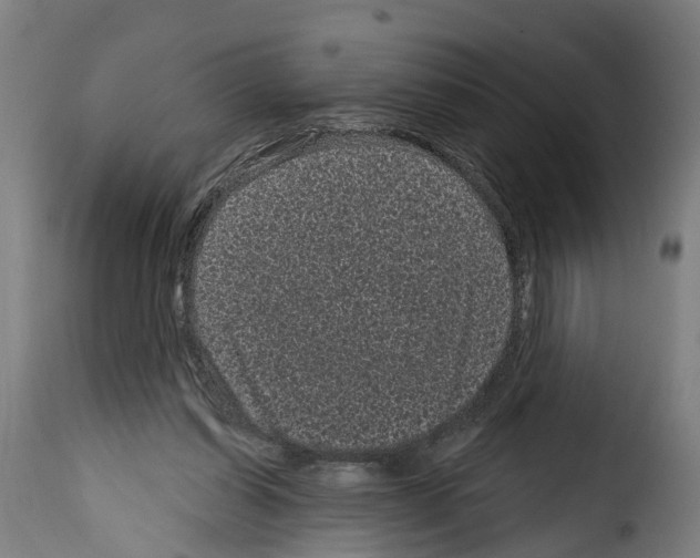 X0000114200254200911201007