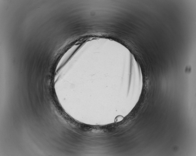 X0000114200256200911201007