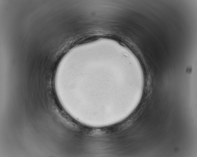 X0000114200257200911201007