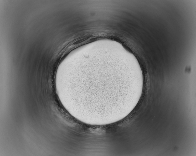 X0000114200258200911201007