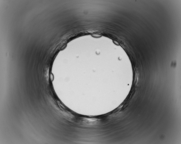 X0000114200260200911201007