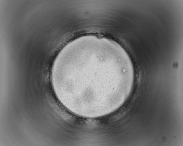 X0000114200261200911201007