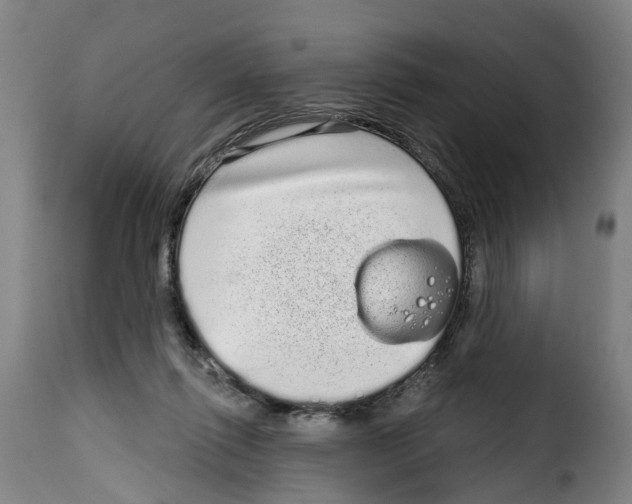 X0000114200262200911201007