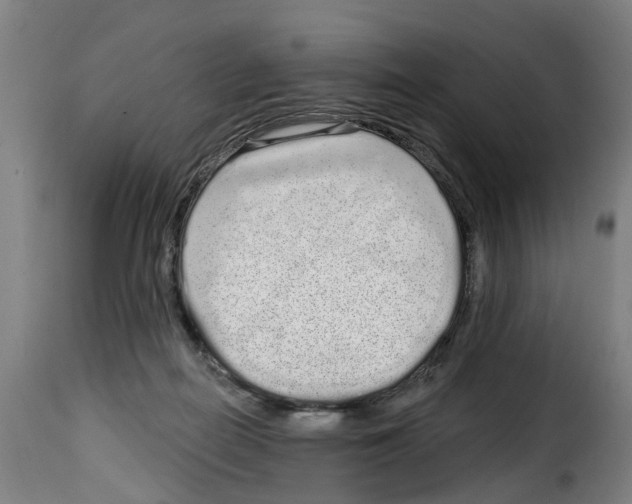 X0000114200266200911201007