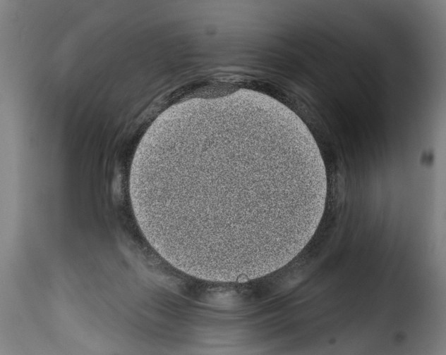 X0000114200267200911201007