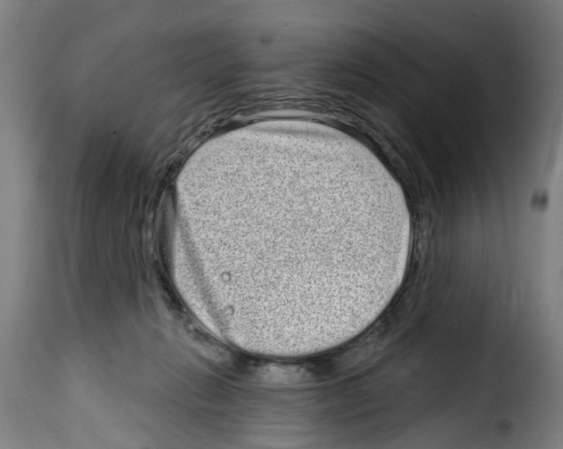 X0000114200270200911201007