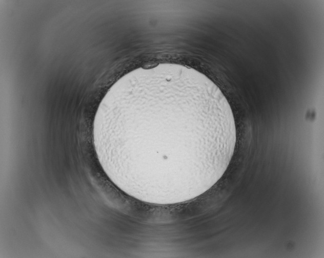 X0000114200272200911201007