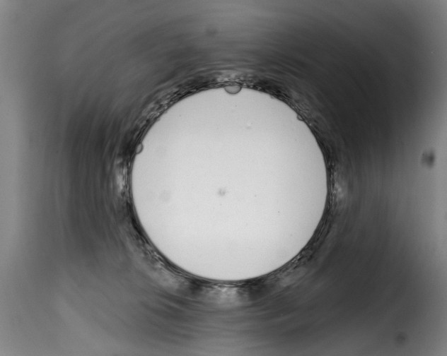 X0000114200276200911201007