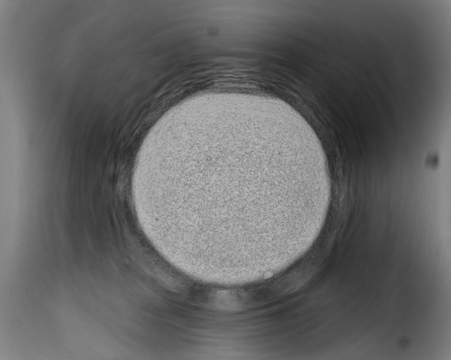 X0000114200277200911201007