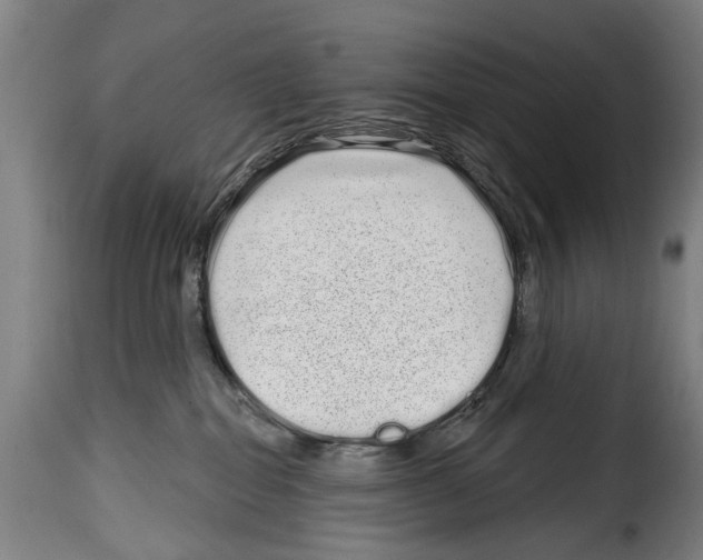 X0000114200282200911201007