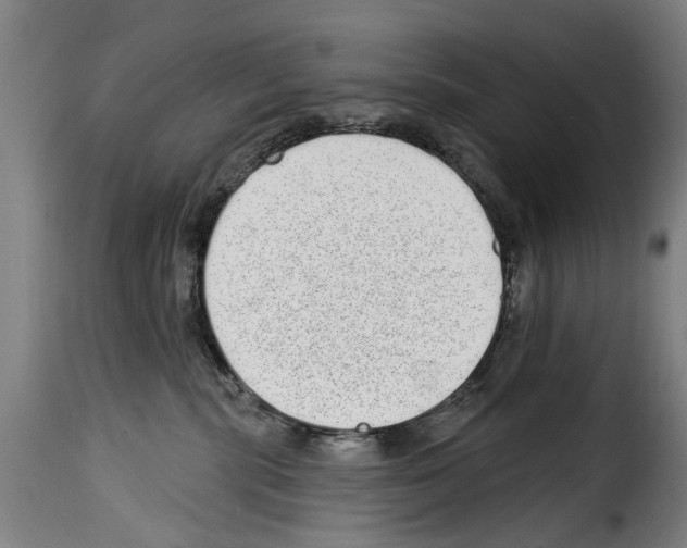 X0000114200283200911201007