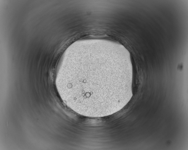 X0000114200286200911201007