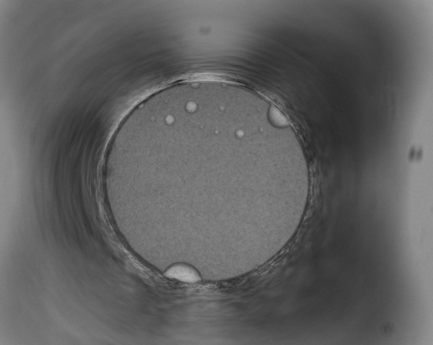 X0000114200289200911201006