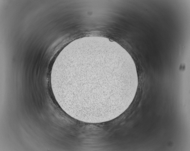 X0000114200290200911201006