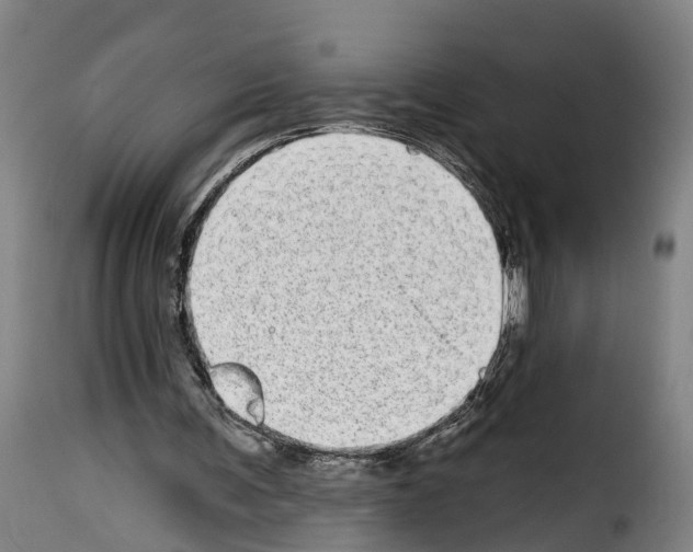 X0000114200291200911201006