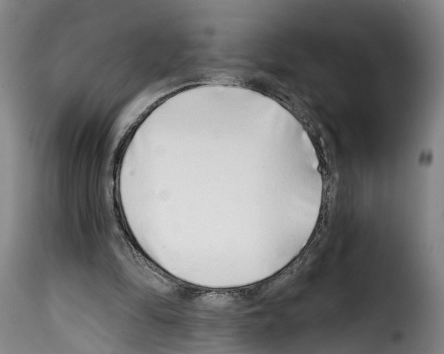 X0000114200294200911201006