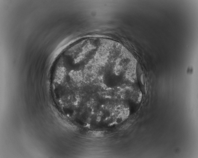 X0000114200295200911201006