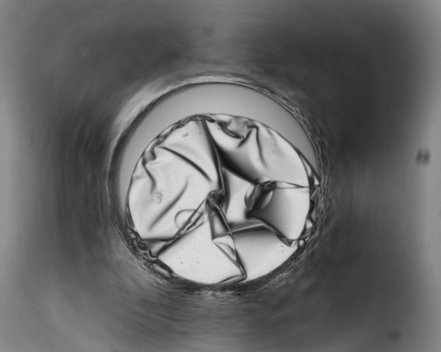 X0000114200296200911201006