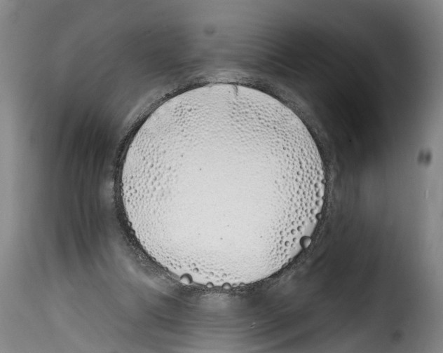 X0000114200298200911201006