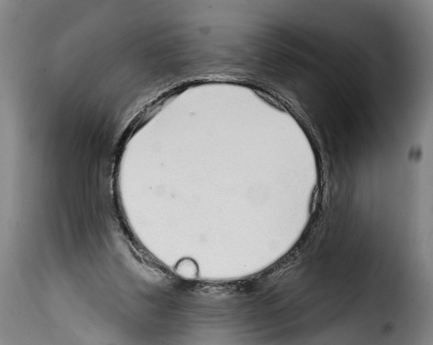 X0000114200299200911201006