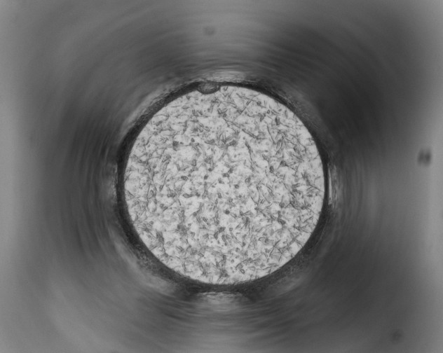 X0000114200300200911201006