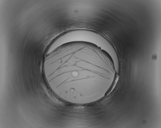 X0000114200301200911201006