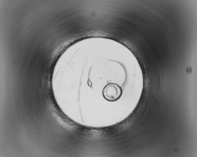 X0000114200302200911201006