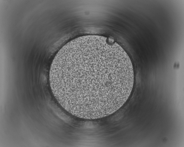 X0000114200305200911201006