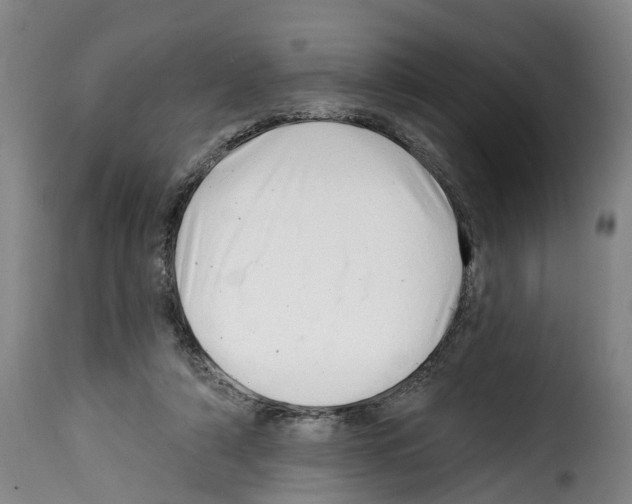 X0000114200306200911201006