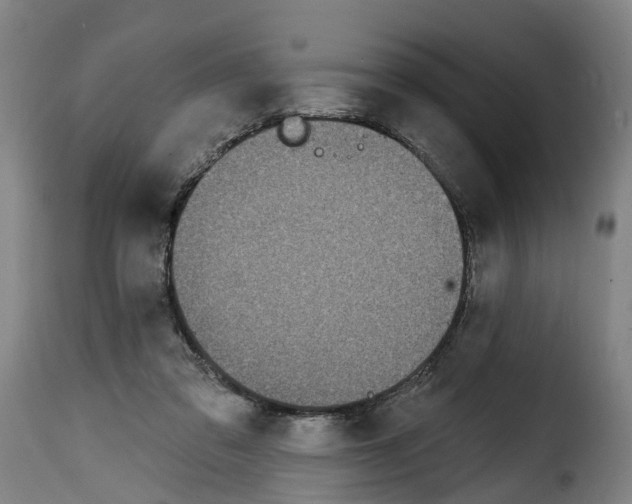 X0000114200309200911201006