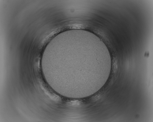 X0000114200310200911201006