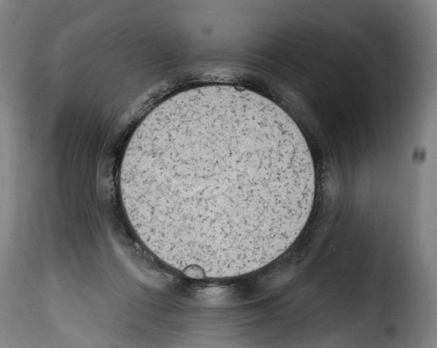 X0000114200312200911201006