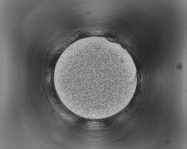 X0000114200315200911201006