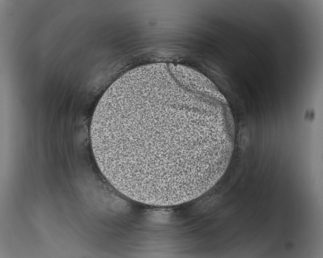 X0000114200318200911201006