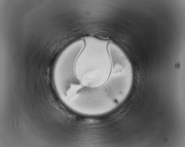 X0000114200319200911201006