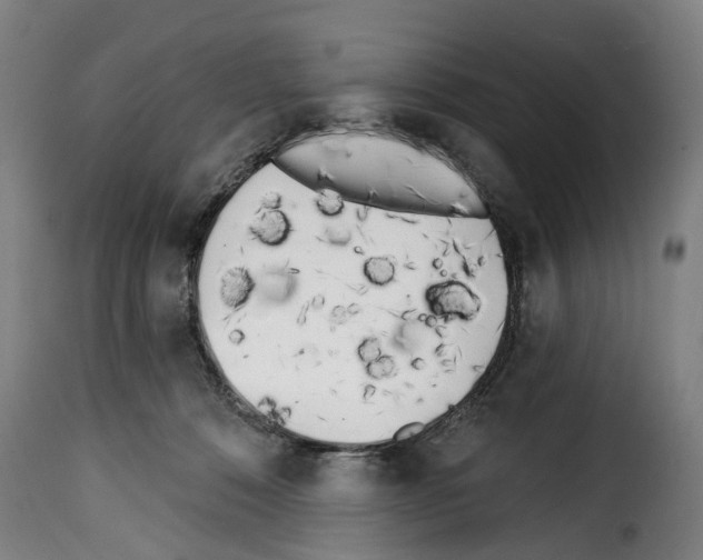 X0000114200320200911201006