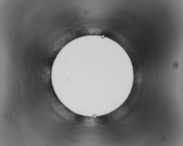 X0000114200321200911201006